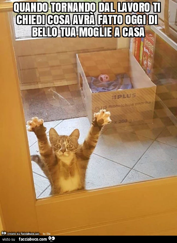 Quando tornando dal lavoro ti chiedi cosa avrà fatto oggi di bello tua moglie a casa