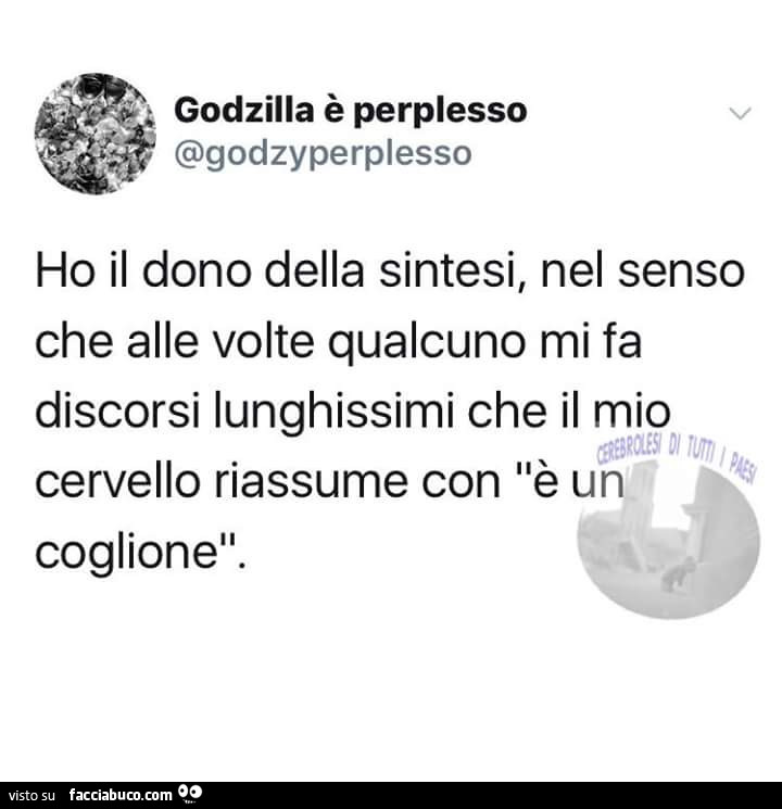 Ho il dono della sintesi, nel senso che alle volte qualcuno mi fa discorsi lunghissimi che il mio cervello riassume con è un coglione