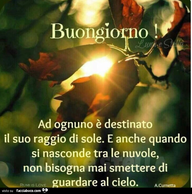 Buongiorno. Ad ognuno è destinato il suo raggio di sole. E anche quando si nasconde tra le nuvole, non bisogna mai smettere di guardare al cielo