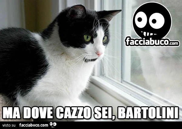 Ma dove cazzo sei, Bartolini