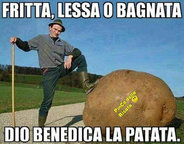 Vaccata