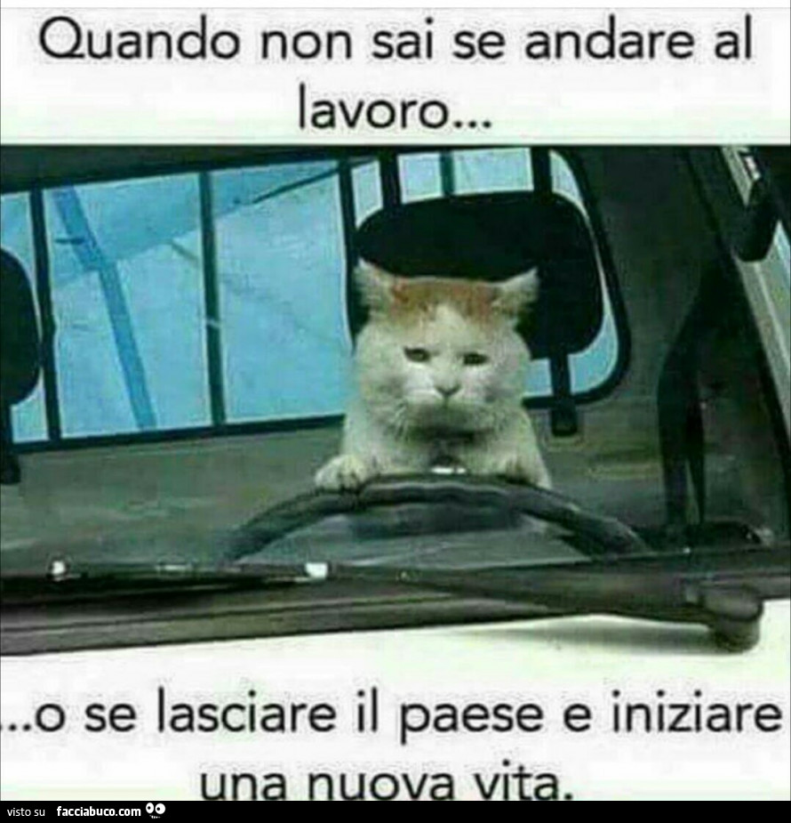 Quando non sai se andare al lavoro… o se lasciare il paese e iniziare una nuova vita