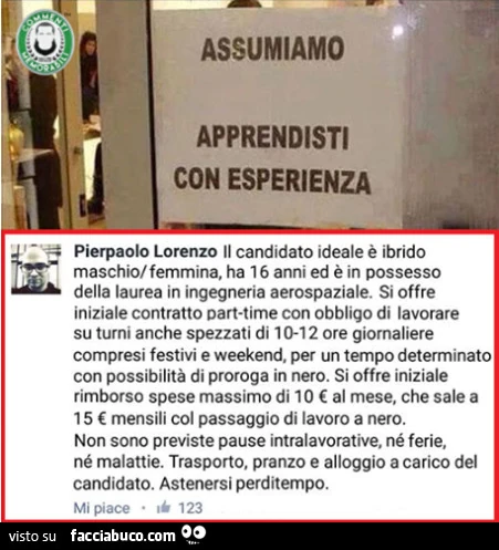 Assumiamo apprendisti con esperienza. Il candidato ideale è ibrido maschio/ femmina. Ha 16 anni ed è in possesso della laurea in ingegneria aerospaziale. Si offre iniziale contratto part-time con obbligo di lavorare su turni anche spezzati
