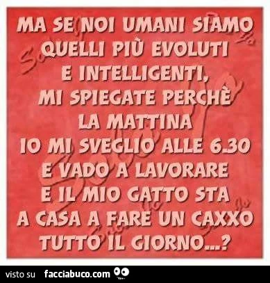 Ma se noi umani siamo quelli più evoluti e intelligenti, mi spiegate perchè la mattina io mi sveglio alle 6,30 e vado a lavorare e il mio gatto sta a casa a fare un caxxo tutto il giorno?