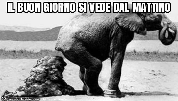 Il Buongiorno Si Vede Dal Mattino Citazioni Divertenti Immagini Divertenti Divertente
