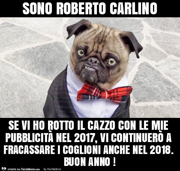Sono roberto carlino se vi ho rotto il cazzo con le mie pubblicità nel 2017, vi continuerò a fracassare i coglioni anche nel 2018. Buon anno