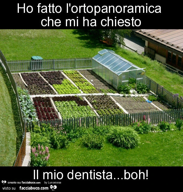 Ho fatto l'ortopanoramica che mi ha chiesto il mio dentista&hellip; boh