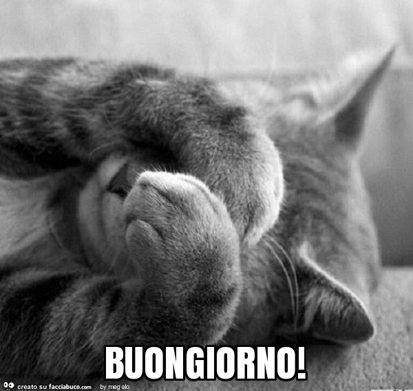 Buongiorno