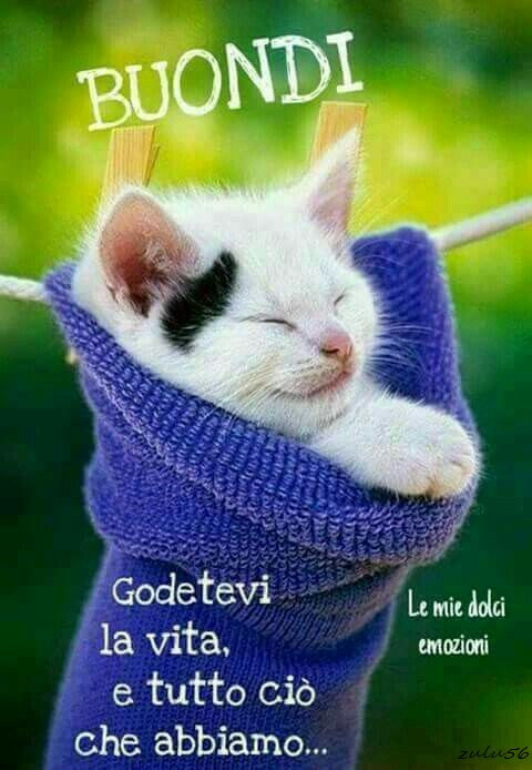 Buondì, godetevi la vita, e tutto ciò che abbiamo