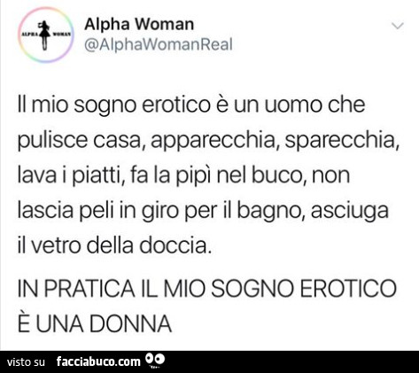 Il mio sogno erotico è un uomo che pulisce casa, apparecchia, sparecchia, lava i piatti, fa la pipì nel buco, non lascia peli in giro per il bagno, asciuga il vetro della doccia. In pratica il mio sogno erotico è una donna