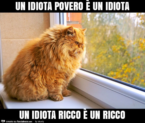 Un idiota povero è un idiota un idiota ricco è un ricco
