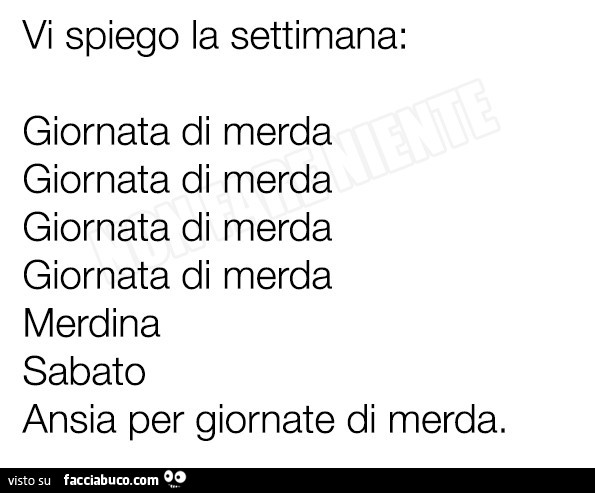 Vi spiego la settimana: giornata di merda, giornata di merda, giornata di merda, giornata di merda, merdina, sabato, ansia per giornate di merda