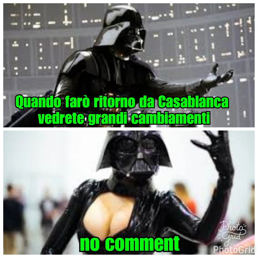 Vaccata