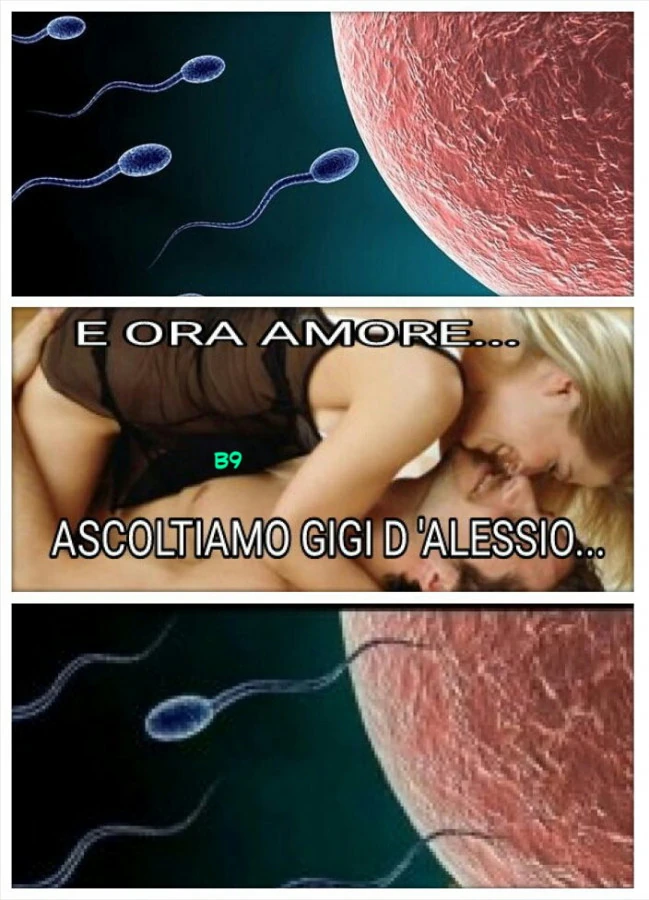 Spermatozoi