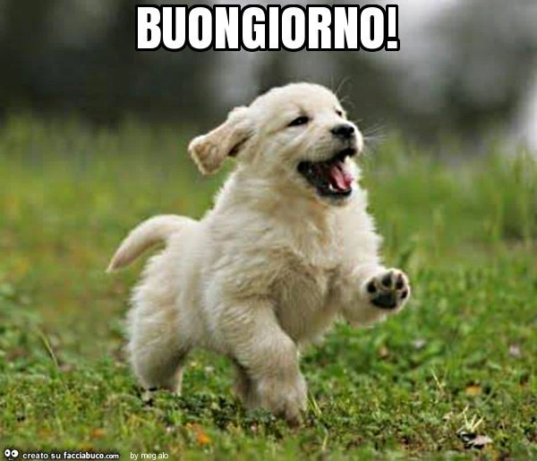 Buongiorno