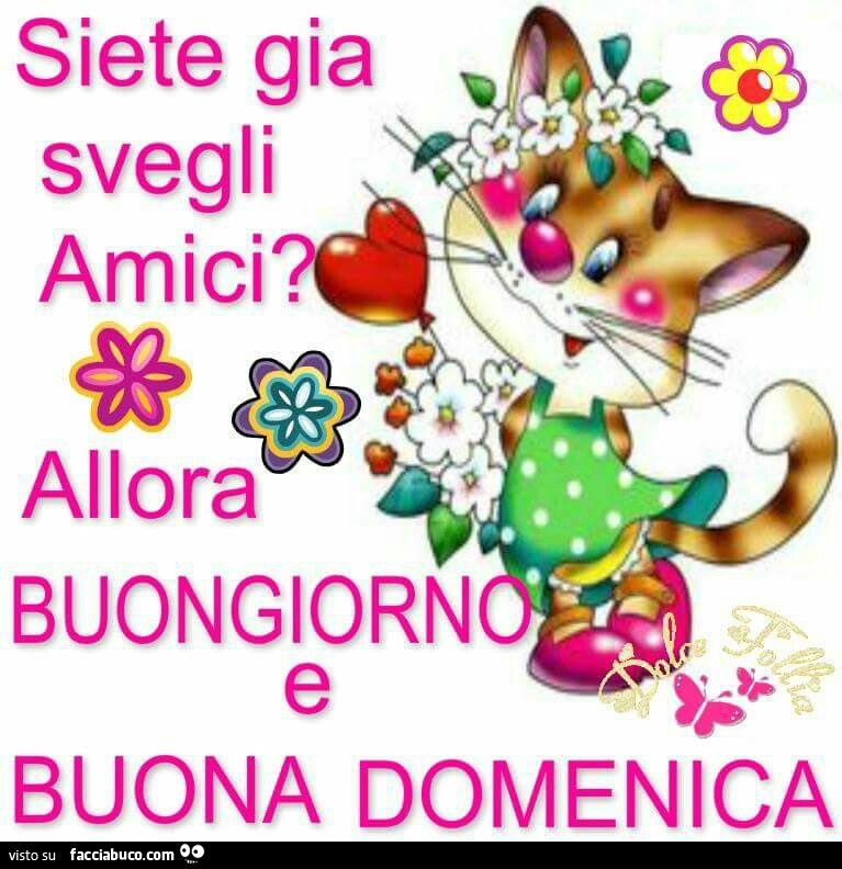 Siete gia svegli amici. Allora buongiorno e buona domenica