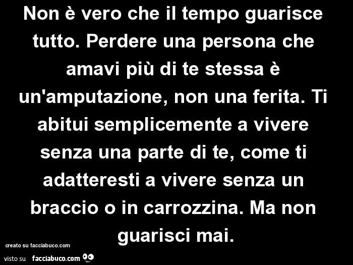 Non è vero che il tempo guarisce tutto. Perdere una persona che amavi più di te stessa è un'amputazione, non una ferita. Ti abitui semplicemente a vivere senza una parte di te, come ti adatteresti a vivere senza un braccio o in carrozzina. Ma non gua