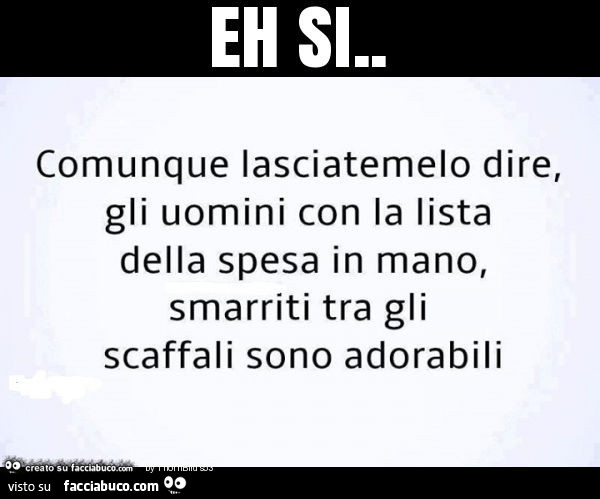 Comunque lasciatemelo dire, gli uomini con la lista della spesa in mano,  smarriti… 