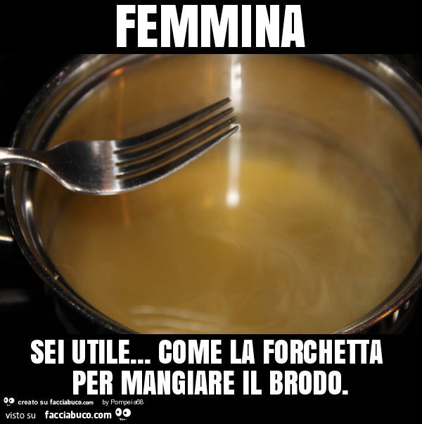 Femmina. Sei utile come la forchetta per mangiare il brodo