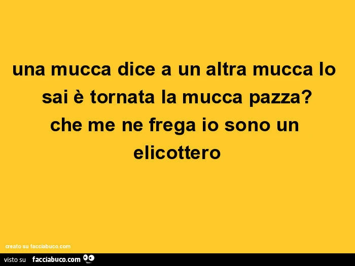 Una mucca dice a un altra mucca lo sai è tornata la mucca pazza? Che me ne frega io sono un elicottero