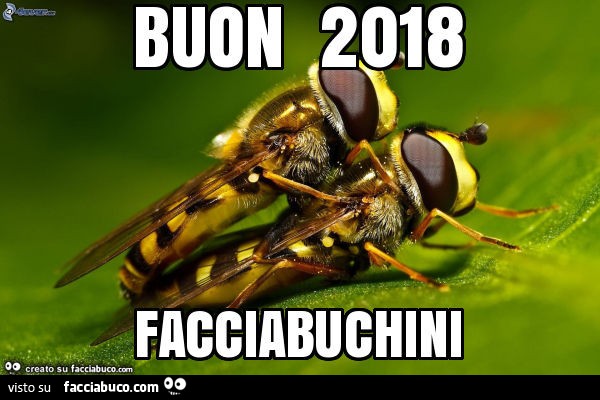Buon 2018 facciabuchini