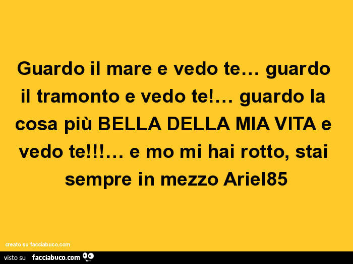 Guardo il mare e vedo te… guardo il tramonto e vedo te! … Guardo la cosa più bella della mia vita e vedo te! … E mo mi hai rotto, stai sempre in mezzo ariel85