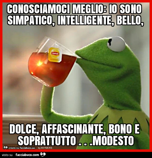Conosciamoci meglio: io sono simpatico, intelligente, bello, dolce, affascinante, bono e soprattutto&hellip; modesto
