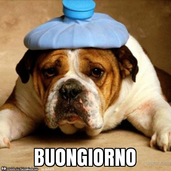 Buongiorno