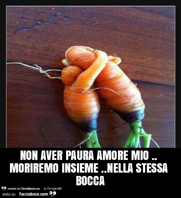 Non aver paura amore mio. Moriremo insieme. Nella stessa bocca
