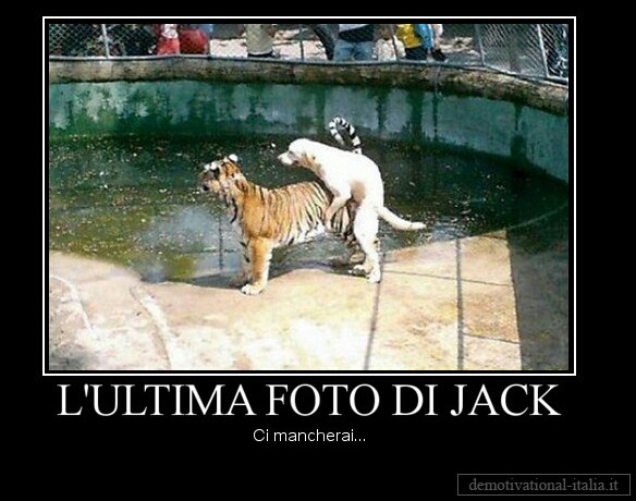 Cane che incula tigre