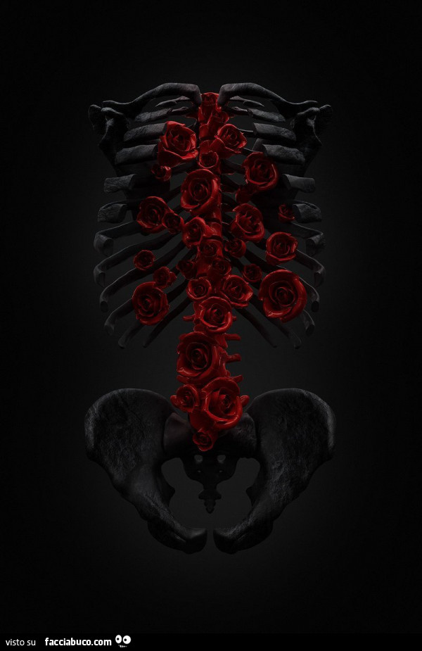 Rose nelle ossa