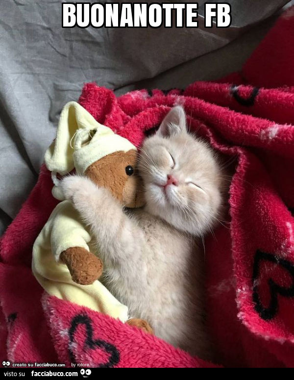 Buonanotte fb