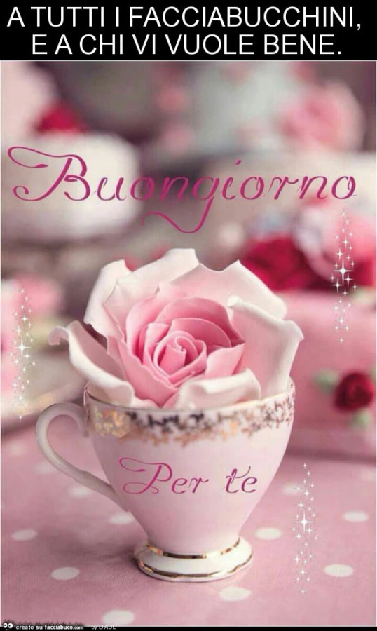 A tutti i facciabucchini, e a chi vi vuole bene