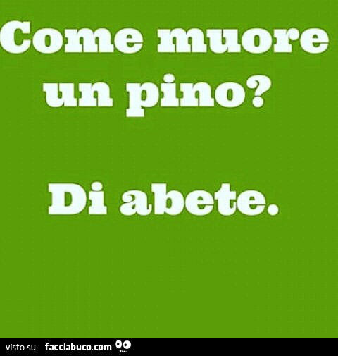Come muore un pino? Di abete