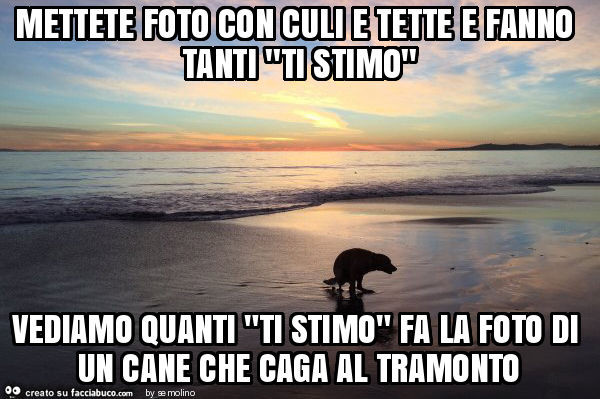 Mettete foto con culi e tette e fanno tanti "ti stimo" vediamo quanti "ti stimo" fa la foto di un cane che caga al tramonto