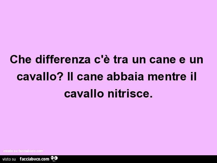 Che differenza c'è tra un cane e un cavallo? Il cane abbaia mentre il cavallo nitrisce