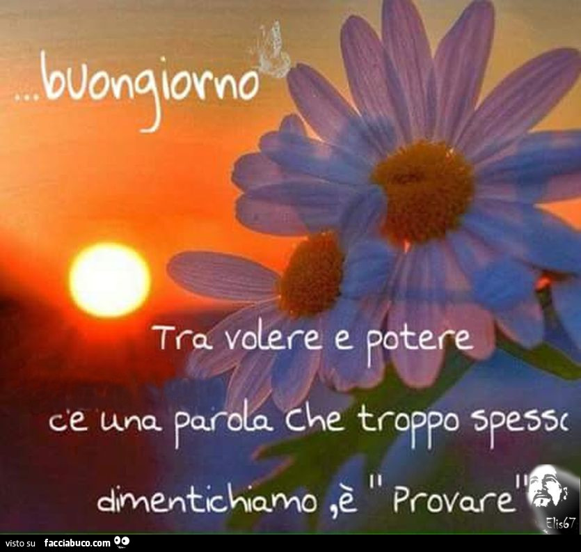 Buongiorno. Tra volere e potere c'è una parola che troppo spesso dimentichiamo, è provare