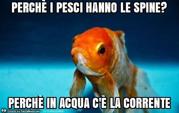 Perchè i pesci hanno le spine? Perchè in acqua c'è la corrente