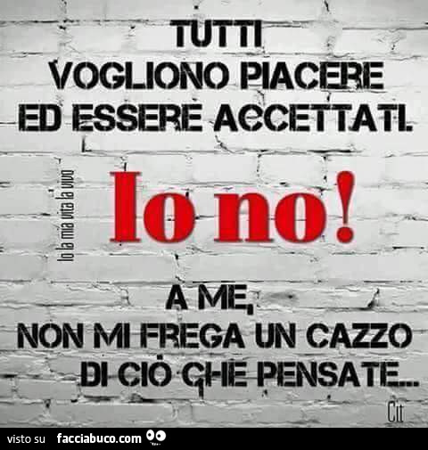 Tutti vogliono piacere ed essere accettati. Io no! A me Non mi frega un cazzo di ciò che pensate