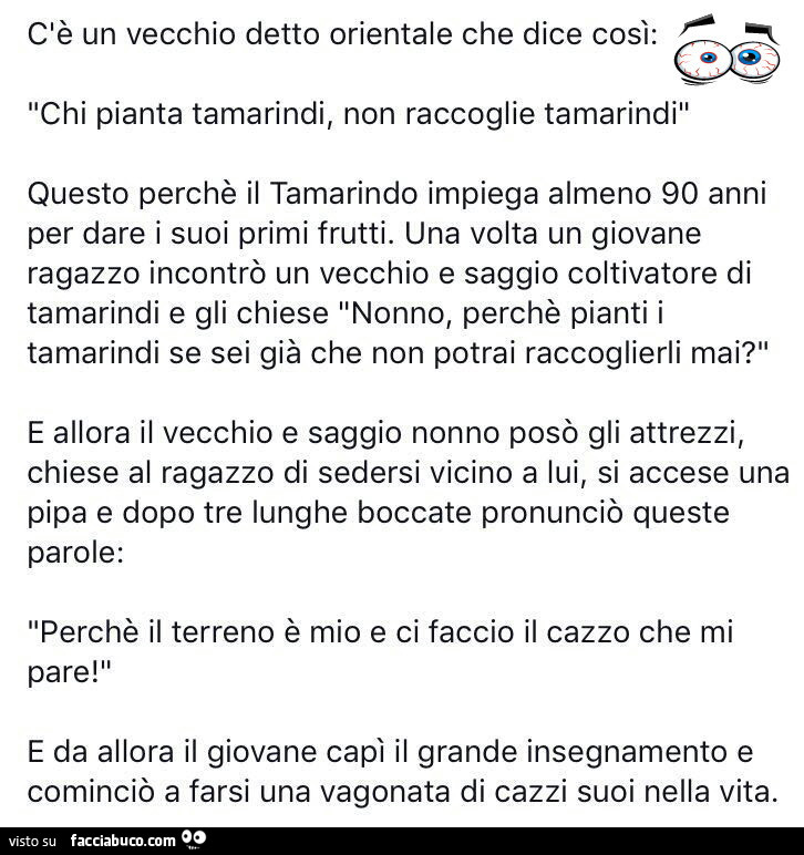 C'è un vecchio detto orientale che dice cosi: chi pianta tamarindi, non raccoglie tamarindi. Questo perchè il tamarindo impiega almeno 90 anni per dare i suoi primi frutti