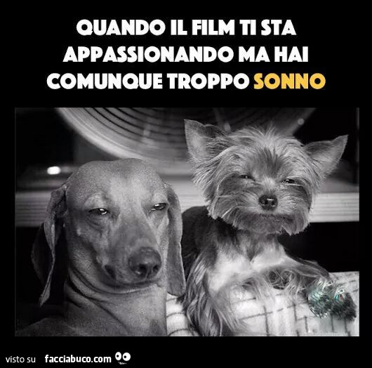 Quando il film ti sta appassionando ma hai comunque troppo sonno