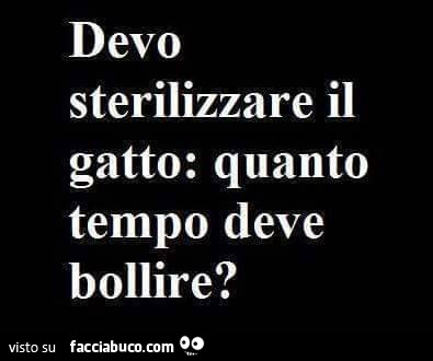 Devo sterilizzare il gatto: quanto tempo deve bollire?